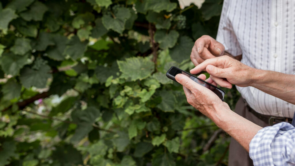 Smart Farm
